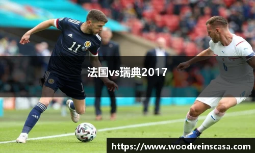 法国vs瑞典2017
