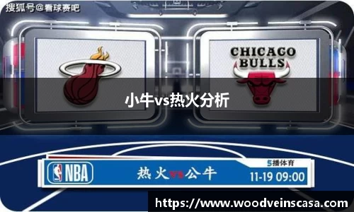 小牛vs热火分析