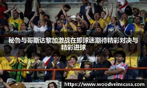 秘鲁与哥斯达黎加激战在即球迷期待精彩对决与精彩进球
