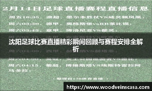 沈阳足球比赛直播精彩瞬间回顾与赛程安排全解析