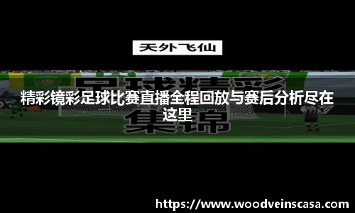 精彩镜彩足球比赛直播全程回放与赛后分析尽在这里