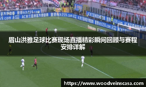 眉山洪雅足球比赛现场直播精彩瞬间回顾与赛程安排详解