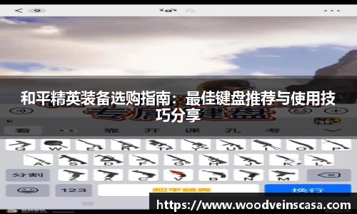 和平精英装备选购指南：最佳键盘推荐与使用技巧分享