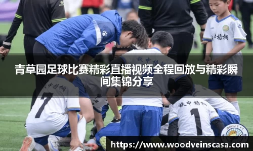 青草园足球比赛精彩直播视频全程回放与精彩瞬间集锦分享