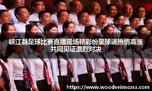 峡江县足球比赛直播现场精彩纷呈球迷热情高涨共同见证激烈对决