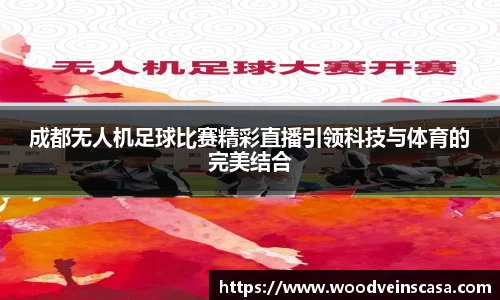 成都无人机足球比赛精彩直播引领科技与体育的完美结合