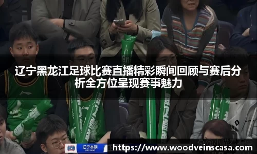 辽宁黑龙江足球比赛直播精彩瞬间回顾与赛后分析全方位呈现赛事魅力