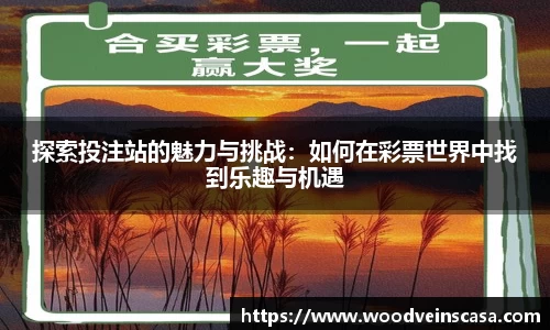 探索投注站的魅力与挑战：如何在彩票世界中找到乐趣与机遇