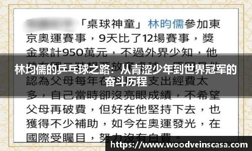 林均儒的乒乓球之路：从青涩少年到世界冠军的奋斗历程